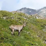 Capucine * Chamonix